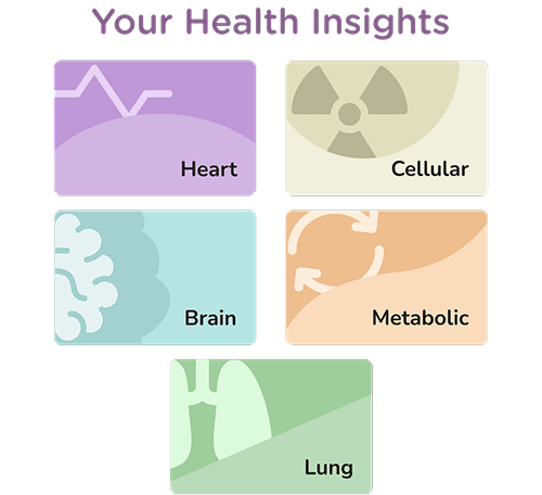 lgv_insights